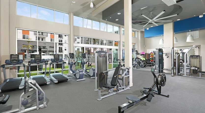 Photo of Hey There Blue Skies