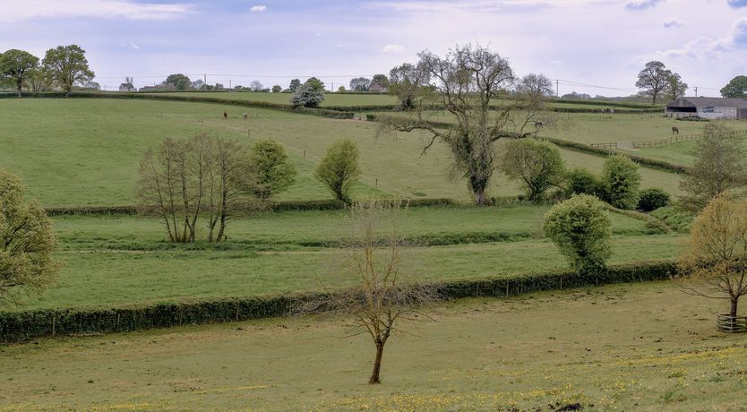 Photo of Penny-Farthing