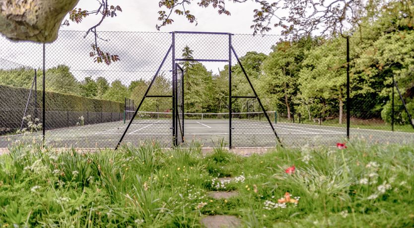 Photo of Penny-Farthing