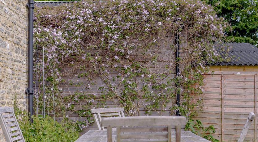 Photo of Penny-Farthing