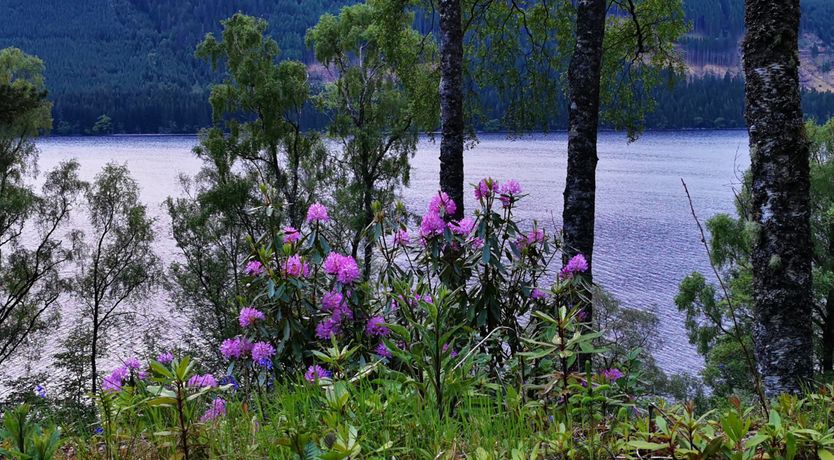 Photo of Lochside, 1 The Corries