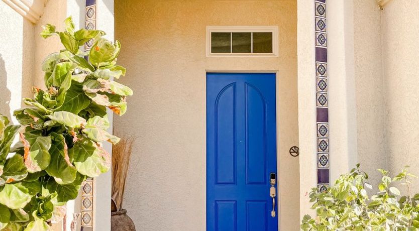 Photo of Sun Through The Palms