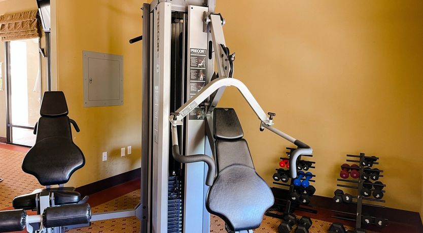 Photo of Sun Through The Palms