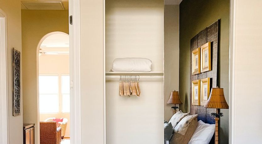 Photo of Sun Through The Palms