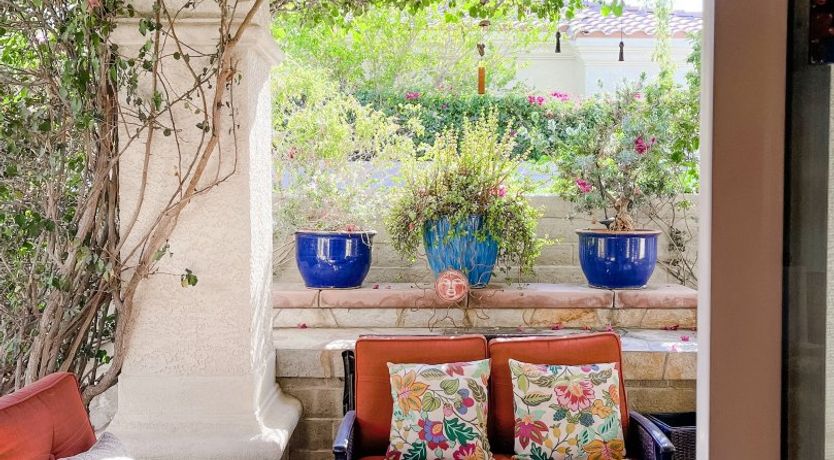 Photo of Sun Through The Palms