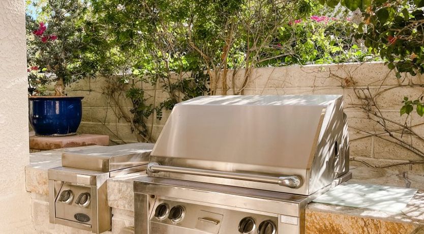 Photo of Sun Through The Palms