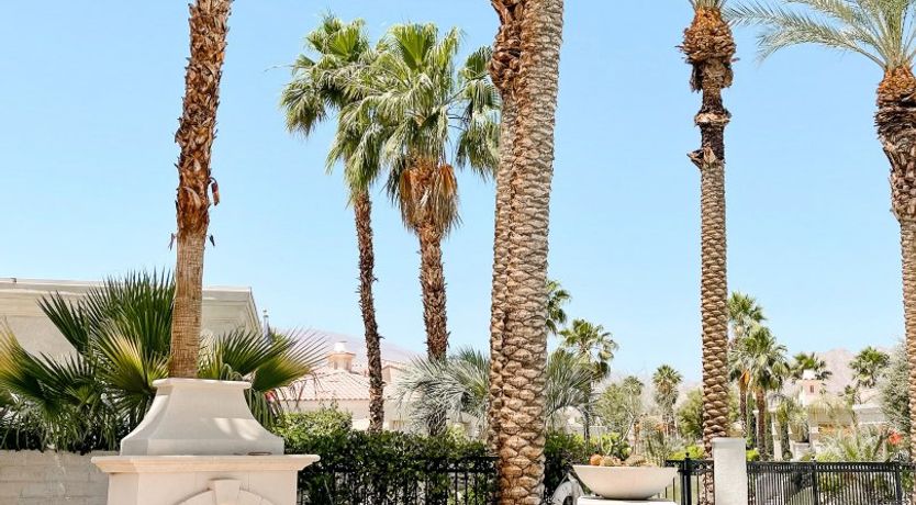 Photo of Sun Through The Palms