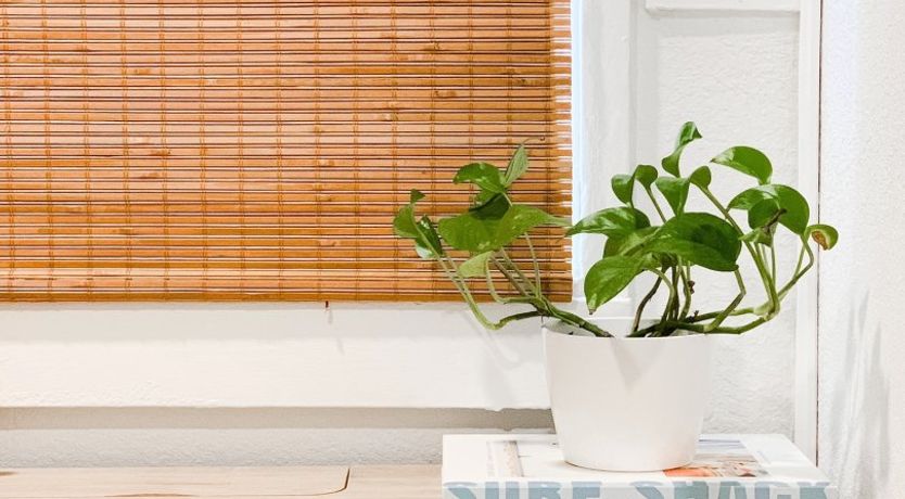 Photo of Mission For Fun