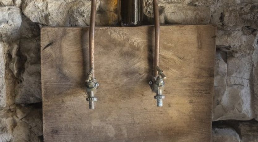 Photo of Milling Around