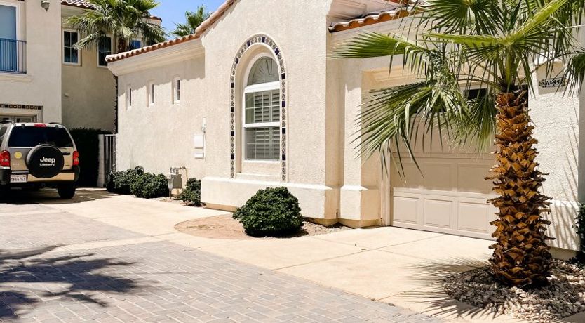 Photo of The Blue Frog