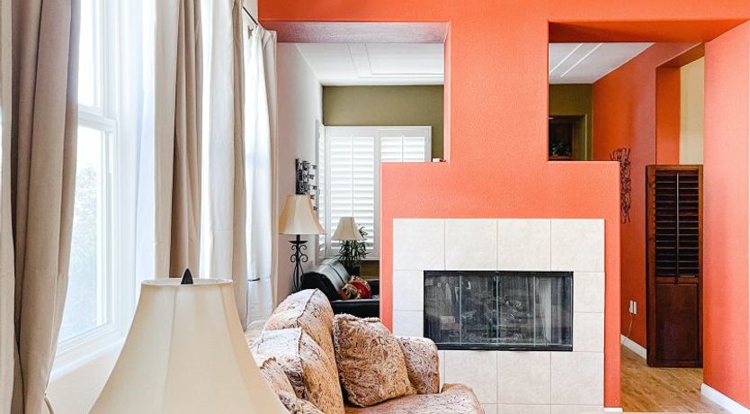 Photo of The Blue Frog