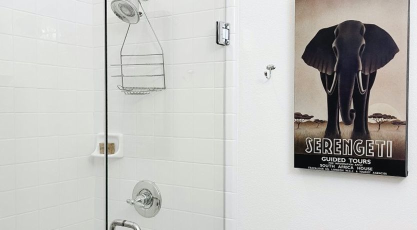 Photo of The Blue Frog