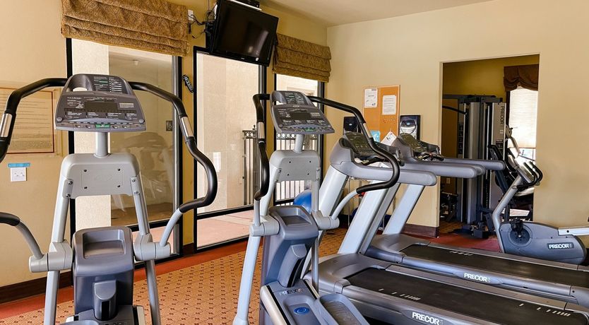 Photo of The Blue Frog