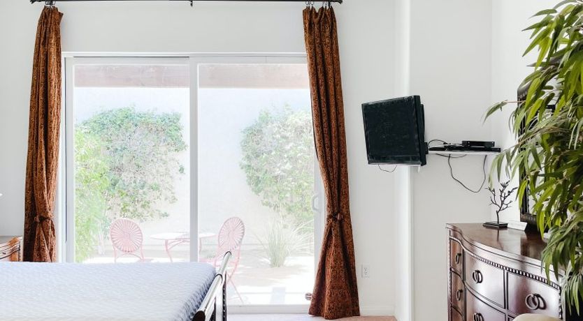 Photo of The Blue Frog