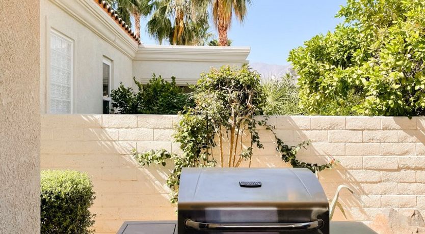 Photo of The Blue Frog