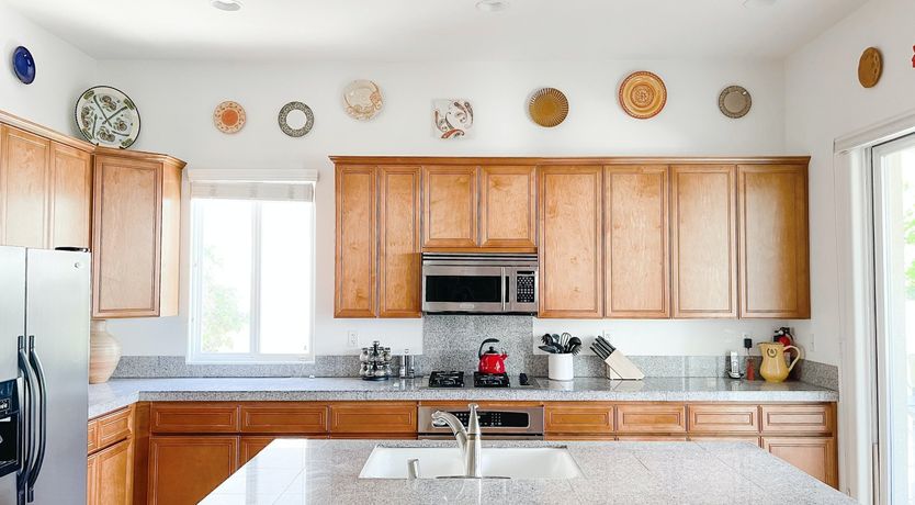 Photo of The Blue Frog