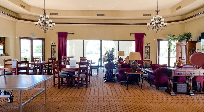 Photo of The Blue Frog