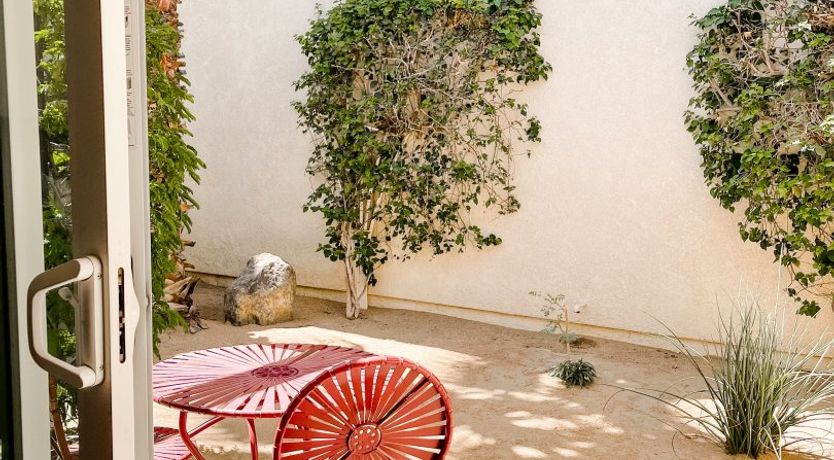 Photo of The Blue Frog