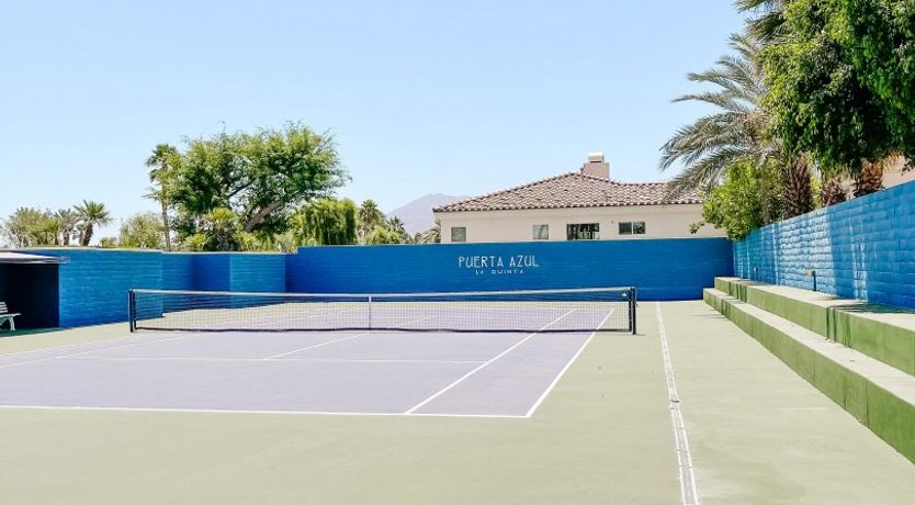 Photo of The Blue Frog