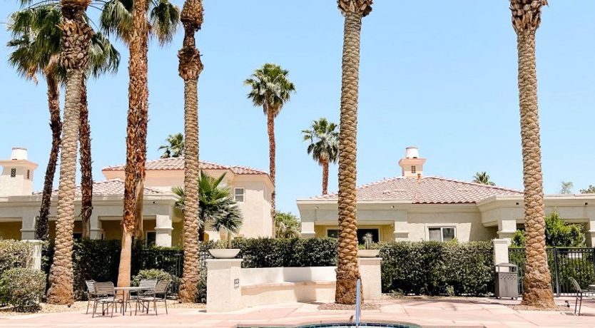 Photo of The Blue Frog