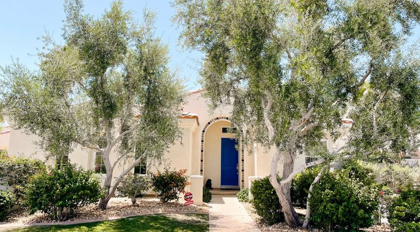 Photo of The Blue Frog