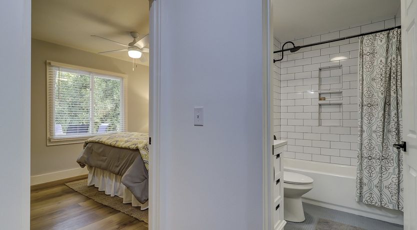 Photo of Woodpecker's Island