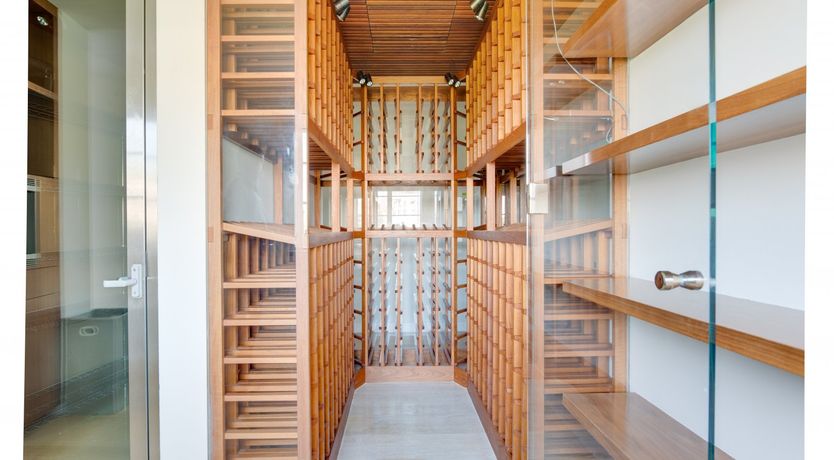 Photo of White Crest