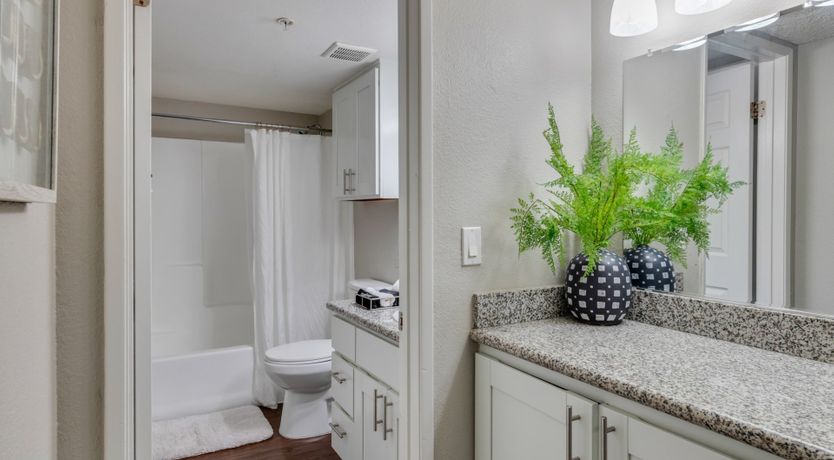 Photo of When The Wind Blows