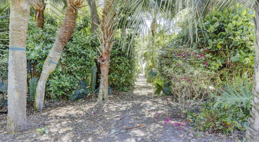 Photo of Among The Dunes