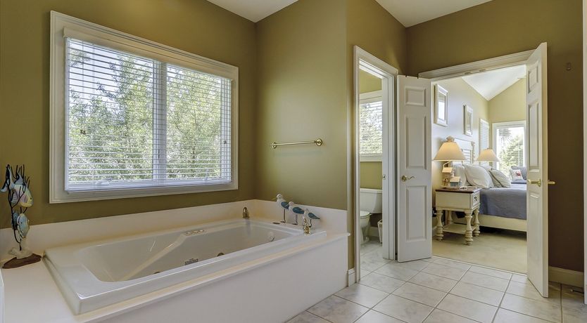 Photo of Among The Dunes