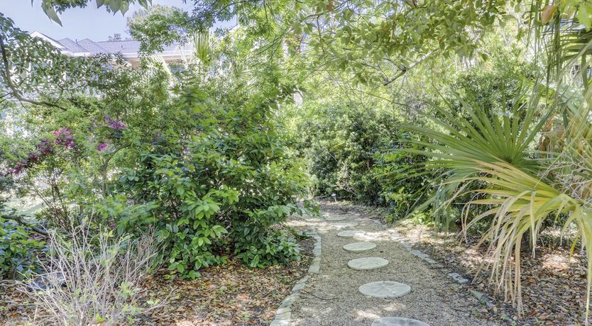 Photo of Among The Dunes