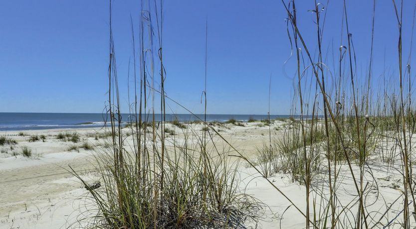 Photo of Among The Dunes