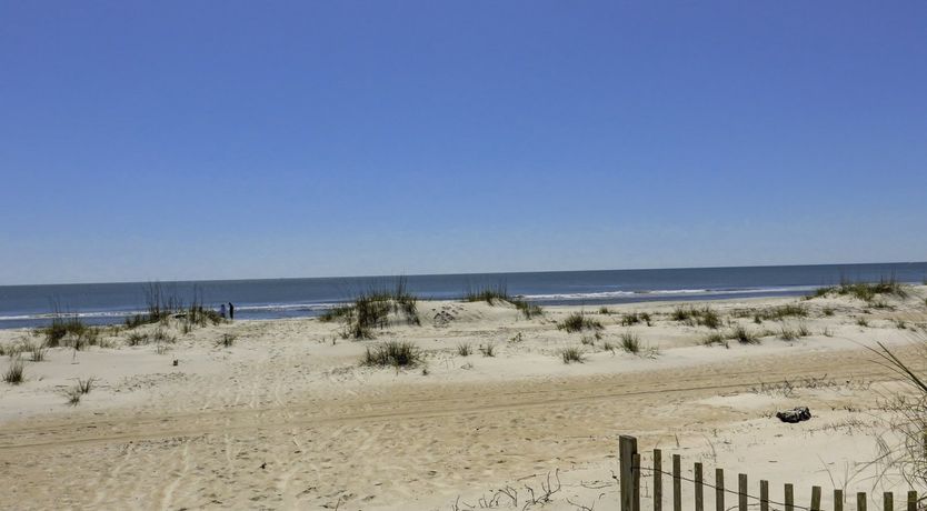 Photo of Among The Dunes