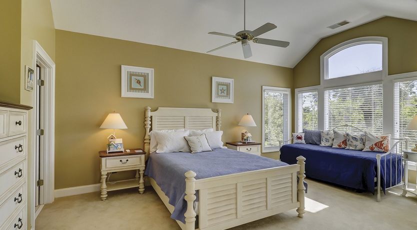 Photo of Among The Dunes