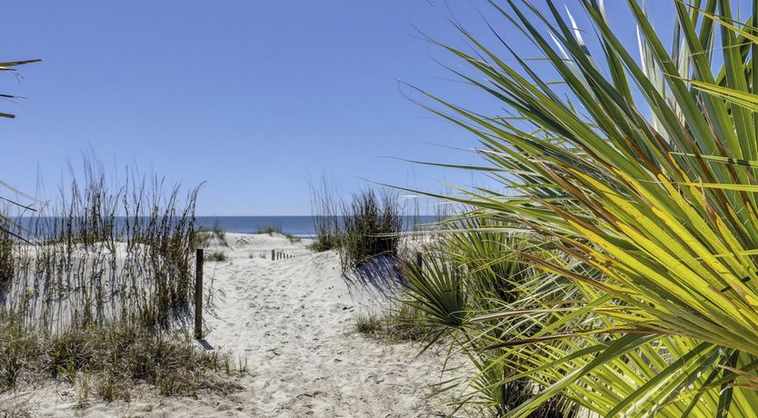 Photo of Among The Dunes