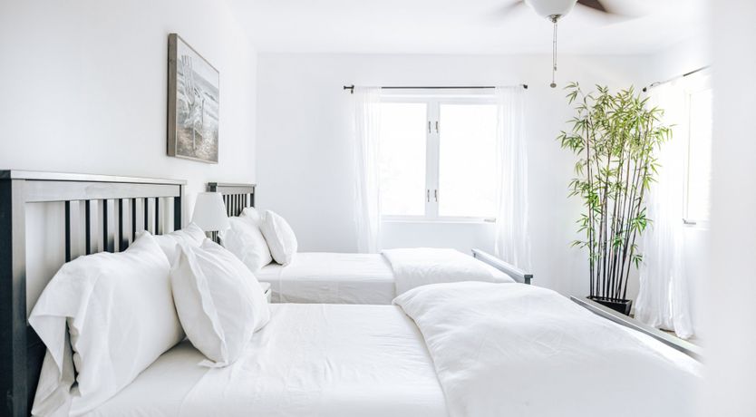 Photo of Magic in The Hamptons