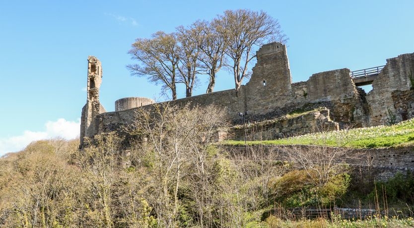 Photo of Otters Holt