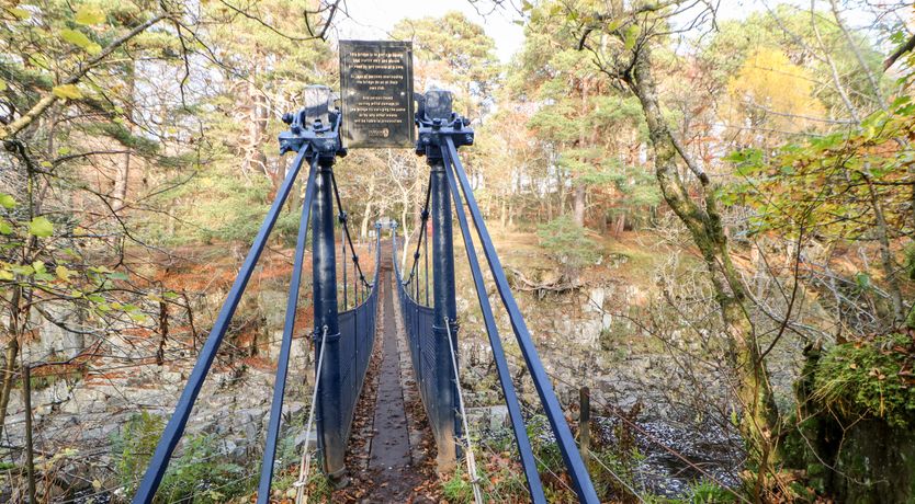 Photo of Badgers Sett