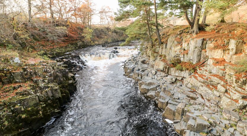 Photo of Badgers Sett