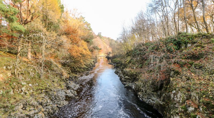 Photo of Badgers Sett