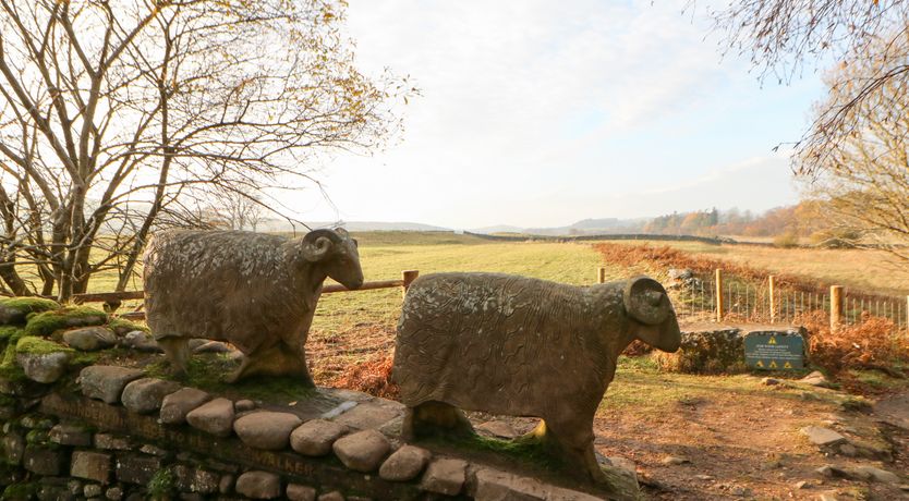 Photo of Badgers Sett