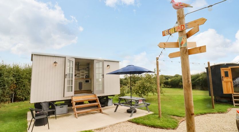 Photo of Three Little Birds