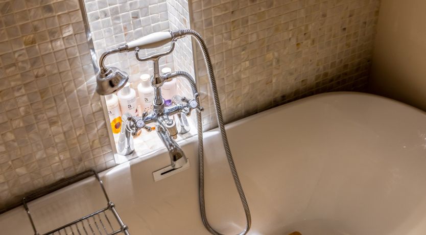 Photo of Hydrangea Haven