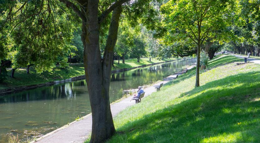 Photo of Hydrangea Haven