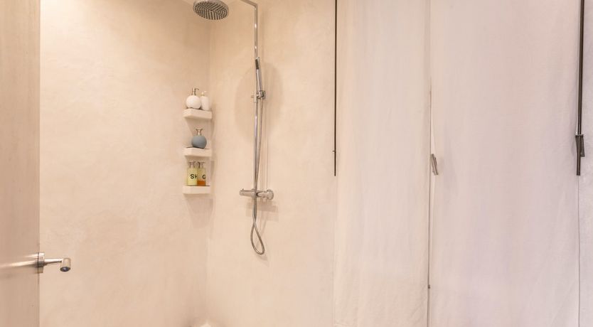 Photo of The Curator's Dream