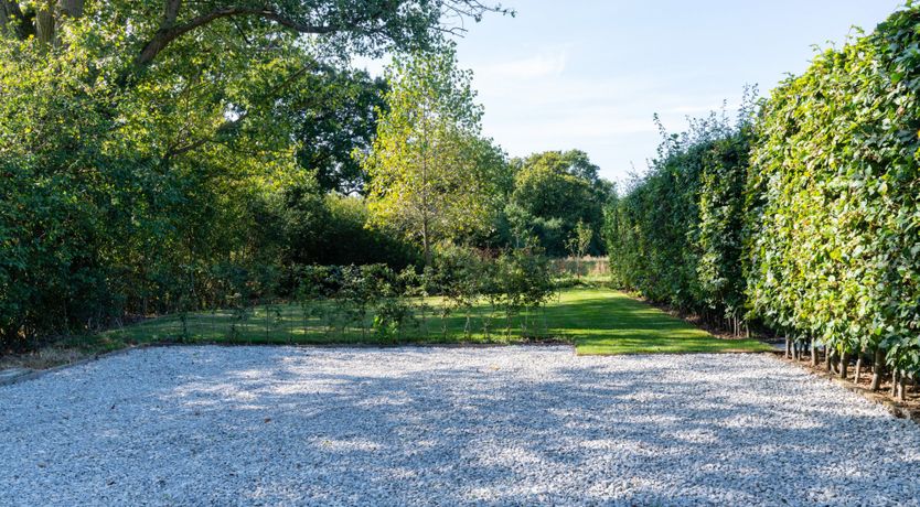 Photo of Flower of Kent