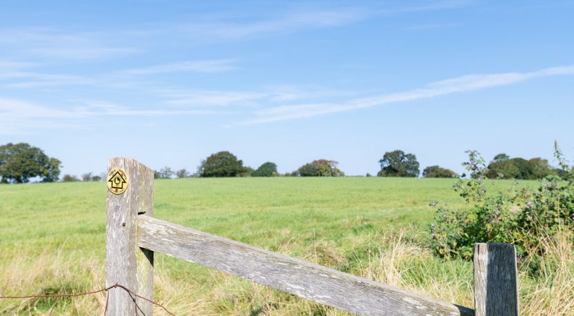 Photo of Flower of Kent