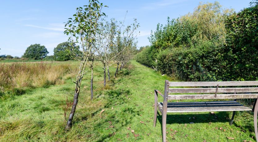 Photo of Flower of Kent