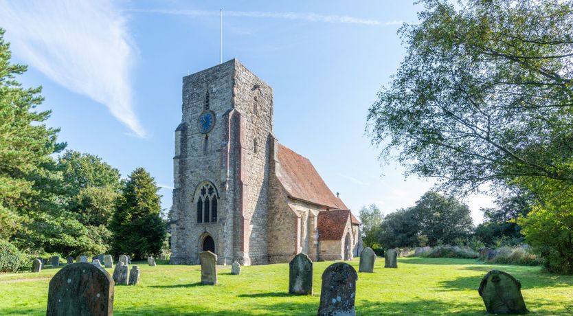 Photo of Flower of Kent