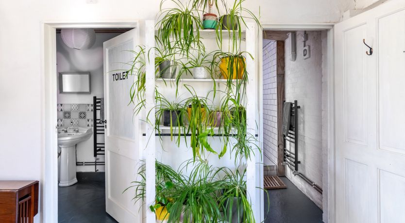 Photo of Gooseberry Fool